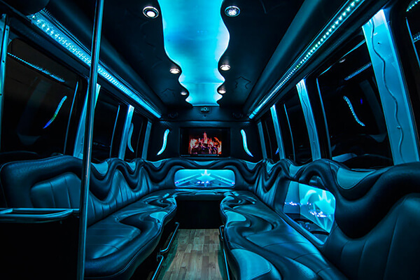 14-passenger party bus rental