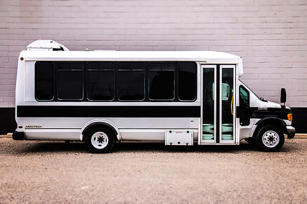 24-passenger party buses