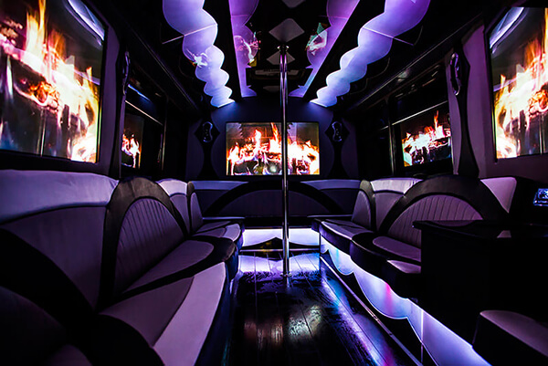 Winnipeg party bus rentals